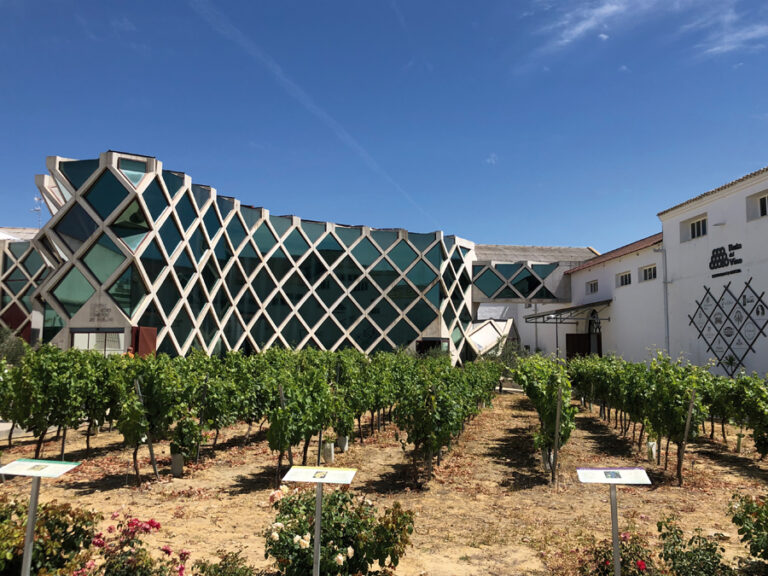 Ruta del vino del Condado de Huelva: Con los 5 sentidos